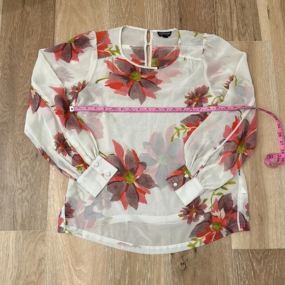 Top Shop Sheer blouse size USA 6 long sleeve with floral details - Picture 4 of 5